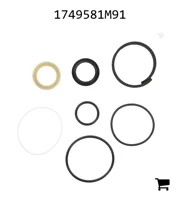 AGCO 1749581M91 Комплект уплотнений