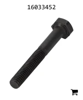 AGCO 16033452 Винт