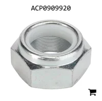 AGCO ACP0909920 Закрывающая пластина