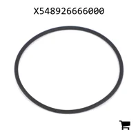AGCO X548926666000 Уплотнительное кольцо гидравлического фильтра