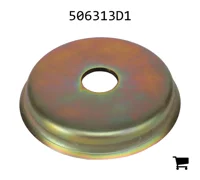 AGCO 506313D1 Шайба