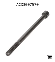 AGCO ACX3007570 Винт с головкой Torx