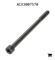 AGCO ACX3007570 Винт с головкой Torx