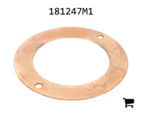 AGCO 181247M1 Шайба