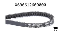 AGCO X696612600000 Ремень клиновой