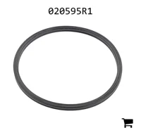 AGCO 020595R1 Кольцо