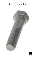 AGCO AL5002212 Винт