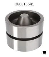 AGCO 3808136M1 Поршень