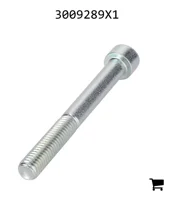 AGCO 3009289X1 Винт с цилиндрической головкой и шестигранным углублением