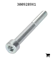AGCO 3009289X1 Винт с цилиндрической головкой и шестигранным углублением