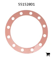 AGCO 551520D1 Шайба