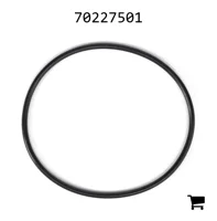 AGCO 70227501 Уплотнительное кольцо