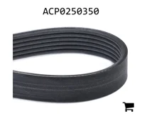 AGCO ACP0250350 Комплект приводного ремня генератора