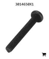 AGCO 3014650X1 Винт
