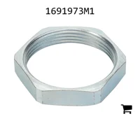 AGCO 1691973M1 Гайка