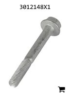 AGCO 3012148X1 Болт с шестигранной головкой и фланцем