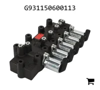 AGCO G931150600113 Блок клапанов