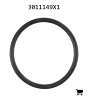 AGCO 3011149X1 Уплотнительное кольцо