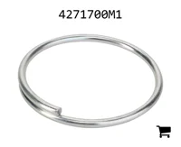 AGCO 4271700M1 Кольцо