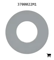 AGCO 3700022M1 Шайба