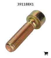 AGCO 391188X1 Винт с цилиндрической головкой и шестигранным углублением