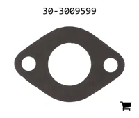 AGCO 30-3009599 Прокладка