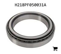 AGCO H218PF050031A Роликовый подшипник