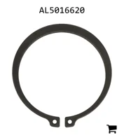 AGCO AL5016620 Кольцо