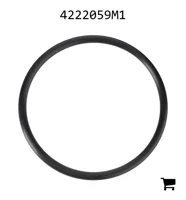 AGCO 4222059M1 Уплотнительное кольцо