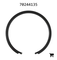 AGCO 70244135 Кольцо