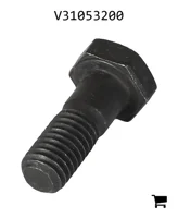 AGCO V31053200 Винт