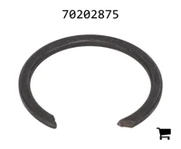 AGCO 70202875 Кольцо