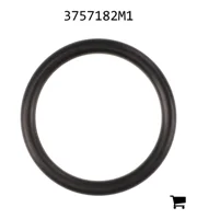 AGCO 3757182M1 Уплотнительное кольцо