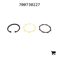 AGCO 700730227 Ремкомплект