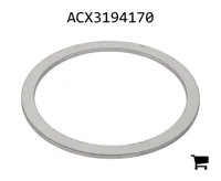 AGCO ACX3194170 Шайба