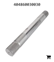 AGCO 404860030030 Подъемный вал