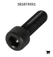 AGCO 3010749X1 Винт с цилиндрической головкой и шестигранным углублением