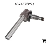 AGCO 4374570M93 Вал