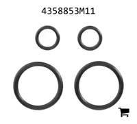 AGCO 4358853M11 Комплект сальников