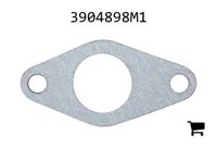 AGCO 3904898M1 Шарнир