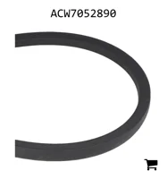 AGCO ACW7052890 Ремень