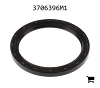 AGCO 3706396M1 Уплотнение