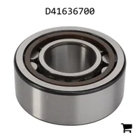AGCO D41636700 Цилиндрический роликовый радиальный подшипник