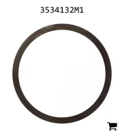 AGCO 3534132M1 Шайба