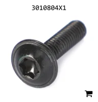 AGCO 3010804X1 Винт с полукруглой головкой