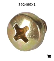 AGCO 392409X1 Винт с полукруглой головкой