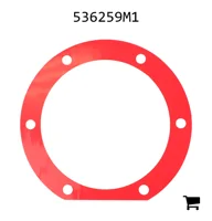 AGCO 536259M1 Шайба