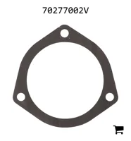 AGCO 70277002V Прокладка адаптера