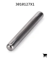 AGCO 3010127X1 Игольчатый подшипник