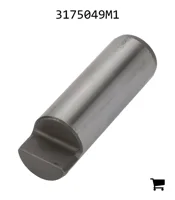 AGCO 3175049M1 Ось